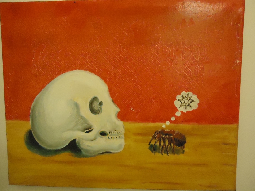 The Skull and and the Spider-morbid still life, yet with a sense of fun.